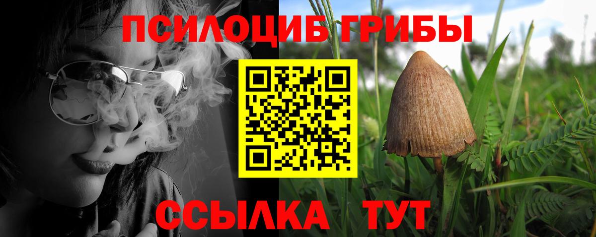 Галлюциногенные грибы прущие грибы Гуково